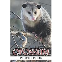 Opossum Photo Book: Lovely Animal Colorful Pictures For All Ages To Relax And Unwind | Gift Idea For Birthday's Day