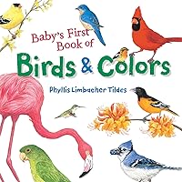 Baby's First Book of Birds & Colors Baby's First Book of Birds & Colors Board book