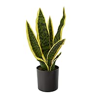 Nearly Natural 14in. Sansevieria Artificial Plant