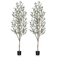 Kazeila Artificial Olive Tree 6FT Tall Faux Silk Plant for Home Office Decor Indoor Fake Potted Tree with Natural Wood Trunk and Lifelike Fruits, 2 Pack