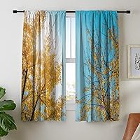 Decorative Room Darkening Blackout Curtains for Bedroom Living Room Kitchen Cafe, Autumn Leaves of Ginkgo Against Sunny Clear Sky, 29 x 36 Inch Light Blocking Print Window Curtains (2 Panels)