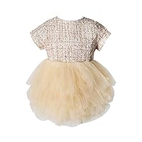 ACSUSS Infant Baby Girls Palace Style Princess Dress Foreign Flavour Mesh Tulle Dress for Birthday Summer wear