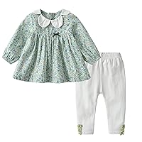 Toddler Girl Clothes Set Long Sleeve Baby girl Outfit Floral Tops Leggings Two-piece Suit for Spring Fall