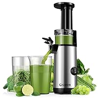 Compact GDOR Cold Press Juicer with 60NM DC Motor, Masticating Juicer Machines for Fruits and Vegetables, Space-Saving Slow Juicer with Low Noise, 20 Oz Juice Cup, Easy to Clean, BPA-Free, Silver