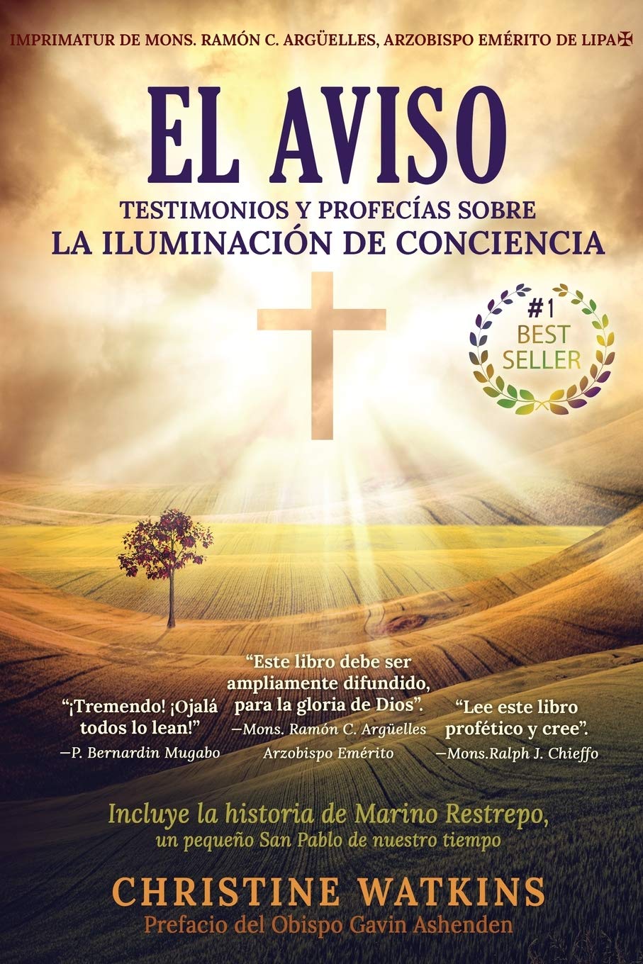 El Aviso: Testimonios y profecías sobre la Iluminación de Conciencia (Spanish Edition)