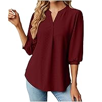 Women's Summer Jacquard Tops V Neck Puff Half Sleeve Loose Casual Blouses Fashion Dressy Solid Color Tunic T-Shirts