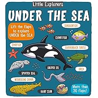 Little Explorers: Under the Sea Little Explorers: Under the Sea Hardcover
