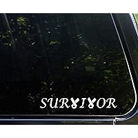 Survivor with Cancer Ribbons (9