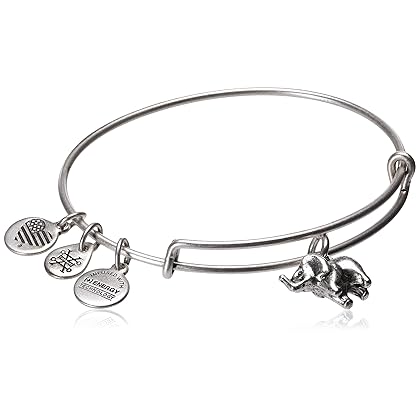 Alex and Ani CBD17EFRS Charity By Design, Elephant II Rafaelian Silver Bangle Bracelet