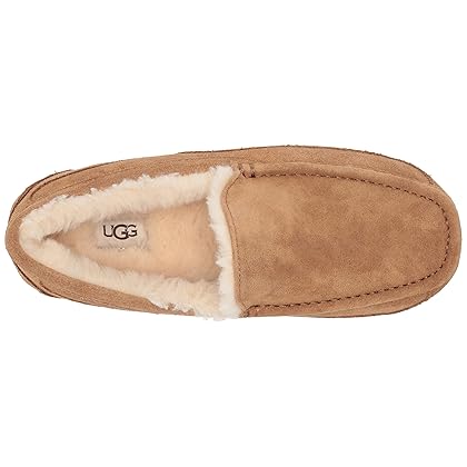 UGG Men's Ascot Slipper