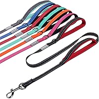 VIVAGLORY Traffic Handle Dog Leashes, Two Padded Soft Handles Strong Dog Leash, Reflective & Metal Hook Training Dog Lead, Black