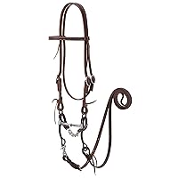 Working Tack Bridle