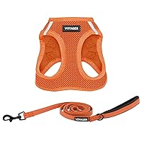 Voyager Step-in Air All Weather Mesh Harness and Reflective Dog 5 ft Leash Combo with Neoprene Handle, for Small, Medium and Large Breed Puppies by Best Pet Supplies - Harness Leash Set (Orange), M