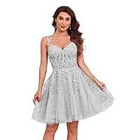 Tulle Homecoming Dresses for Teens Spaghetti Strap Lace Appliques Short Prom Dress 2024 Cocktail Party Gowns