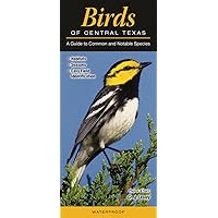 Birds of Central Texas: A Guide to Common & Notable Species (Quick Reference Guides) Birds of Central Texas: A Guide to Common & Notable Species (Quick Reference Guides) Pamphlet