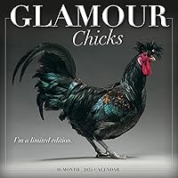 Glamour Chicks 2024 Wall Calendar, 16-Month Humor & Comic Calendar, 12