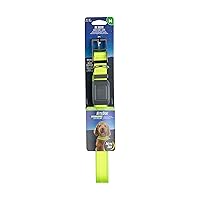 Nite Ize NiteDog Rechargeable LED Collar - Light Up Dog Collar with Durable Metal Buckle - Water-Resistant & Rechargeable Collar - Dog Supplies for Night Activities - Medium, Lime