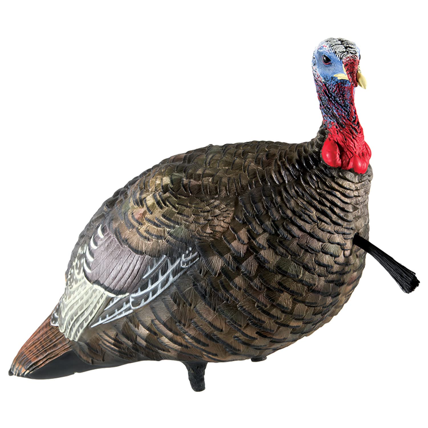 AVIAN-X LCD Jake Quarter Strut Durable Realistic Lifelike Collapsible Standing Folding Hunting Turkey Decoy with Carry Bag & Stake, AVX8003