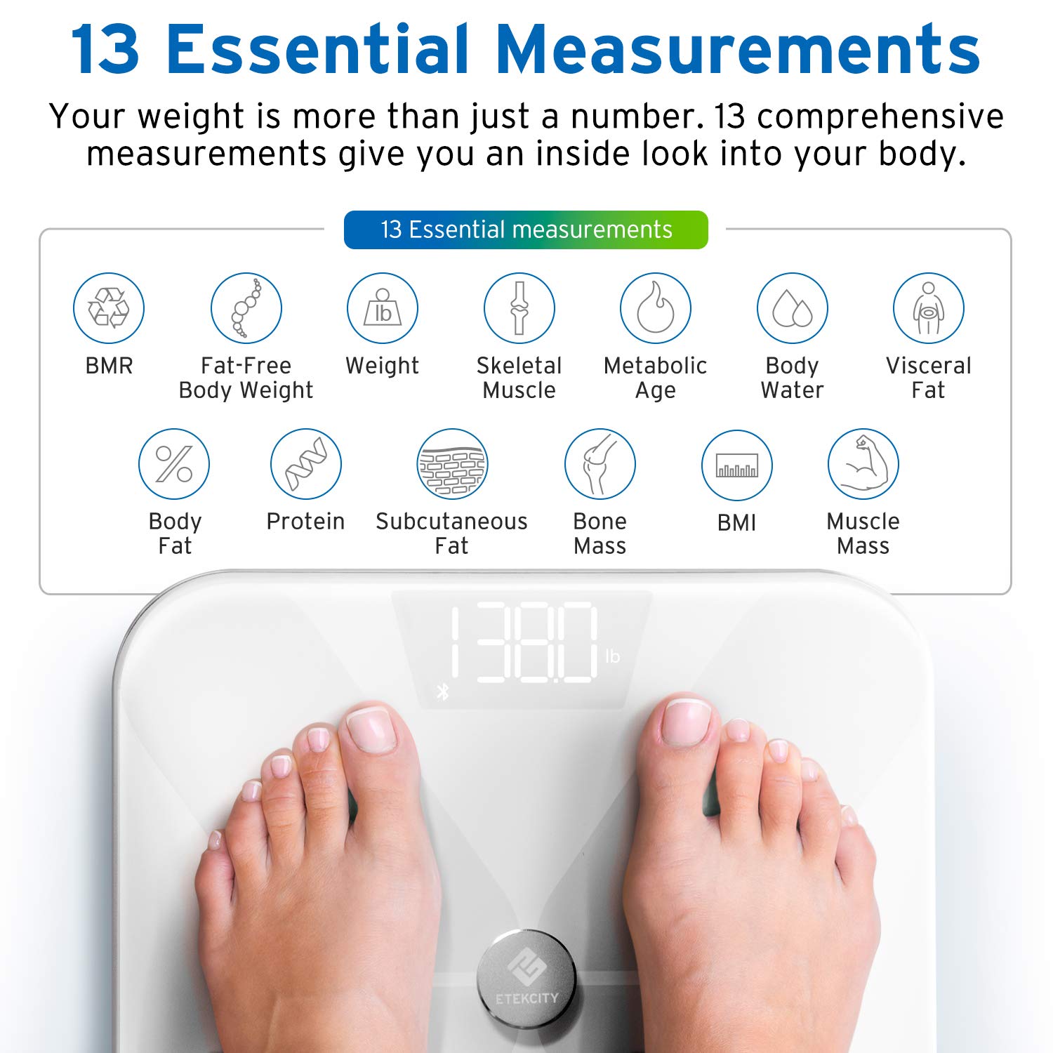 Etekcity Smart Bluetooth Body Fat Scale, Digital Wireless BMI Weight Bathroom Scale with 13 Essential Measurements and ITO Conductive Glass, Body Composition Analyzer with App, White