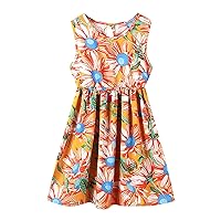 Casual Dress for Girls Girls Summer Dress Fruit and Floral Print Sleeveless Casual A Line Dresses Beach Sundress 3 to 9
