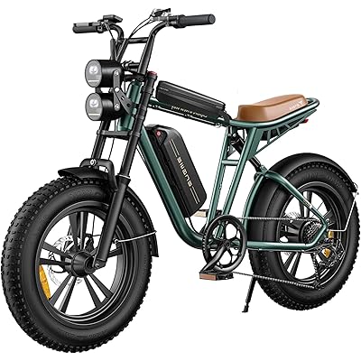 ENGWE M20 Electric Bike for Adults-750W 4.0 * 20 Fat Tire Offroad Cruiser  E Motorcycle28MPH 94Miles Long Range for48V13Ah(26Ah-Dual Battery Option)