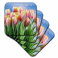 3dRose Washington State, Seabeck. Red and Yellow Tulips in Bloom - Coasters (cst-381202-1)