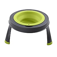 Dexas Popware for Pets Single Elevated Pet Feeder, Large, Gray/Green