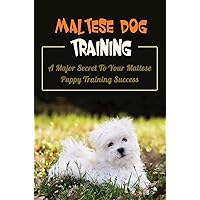 Maltese Dog Training: A Major Secret To Your Maltese Puppy Training Success