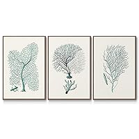 Renditions Gallery Canvas Nature Wall Art Modern Paintings Antique Coastal Coral Walnut Floater Frame Marine Life Artwork for Sitting Room Kitchen Office - 16