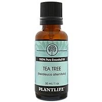 Tea Tree Aromatherapy Essential Oil - Straight from The Plant 100% Pure Therapeutic Grade - No Additives or Fillers - 30 ml