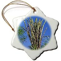 3dRose Wild Asparagus (Asparagus acutifolius), Cuisine - LI11 NTO0030 -... - Ornaments (orn-140027-1)