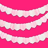 Heart Garland | Eco-Friendly Paper Disposable Wedding Party Decorations for Valentine's Day, Engagement, Bridal Shower - 3 Pack, each 3m Length - White & Pink