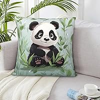 Throw Pillow Covers 24