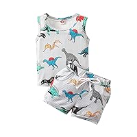 3 Piece Cardigan Set Summer Boys T- Children Outfits Set Baby Printed Sleeveless Infant New Born (Grey, 18-24 Months)
