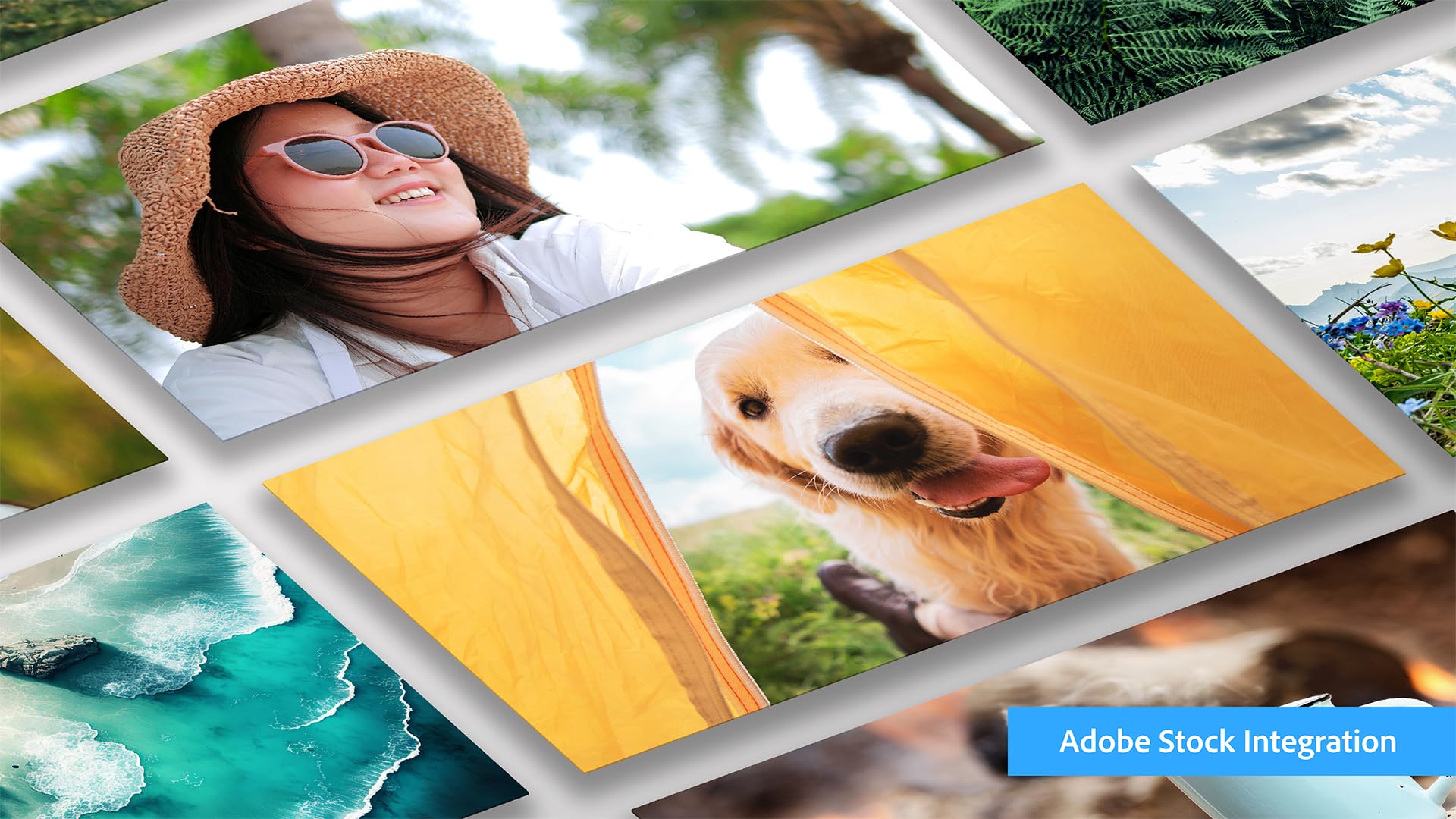 Adobe | Photoshop Elements 2024 | Windows PC Code | Software Download | Photo Editing [PC Online code]