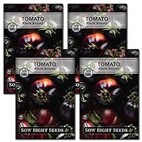 Black Beauty Tomato Seeds for Planting - Non-GMO Heirloom Packet with Instructions to Plant an Outdoor Home Vegetable Garden - Rare Deep Purple Slicing Variety - Sweet Flavor (4)