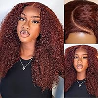 Nadula Pre Everything 13x4 Bye Bye Knots Reddish Brown Glueless Pre Cut Lace Front Curly Wigs Human Hair Pre Plucked Bleached Knots Put on and Go Glueless Wig 180% Density 24inch