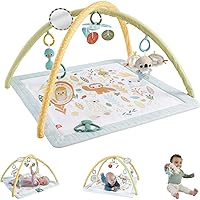 Fisher-Price Baby Activity Mat Simply Senses Newborn Gym with 6 Portable Sensory Toys for Newborns