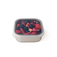 Stainless Steel Food Storage Bento Box Container, Leak Proof Silicone Lid Dishwasher Safe - Plastic Free (15oz Clear)