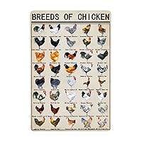 Breeds Of Chicken Vintage Metal Tin Signs World Education Science Classroom Chart Retro Wall Decor Wall Art Funny Posters Gifts 8x12 Inch