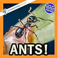 Ants!: A My Incredible World Picture Book for Children (My Incredible World: Nature and Animal Picture Books for Children)