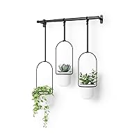 Triflora Hanging Planter for Window, Indoor Herb Garden, White/Black, Triple