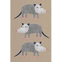 Notes: A Blank Sketchbook with Cute Possum Cover Art