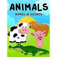 Animals - Animals Names and Sounds - Animals For Kids