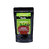 Dried Strawberry Fruit Chips and Crisps, No Sugar Added Dried Fruit Snack, All Natural, Resealable Bag, 1.5 Ounce (Pack of 1), Floria Crunchy