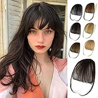 NAYOO Clip In Bangs - Dark Brown Fake Bangs 100% Real Human Hair Extensions Wispy Clip on Air Bangs for Women Fringe with Temples Hairpieces Curved Bangs for Daily Wear