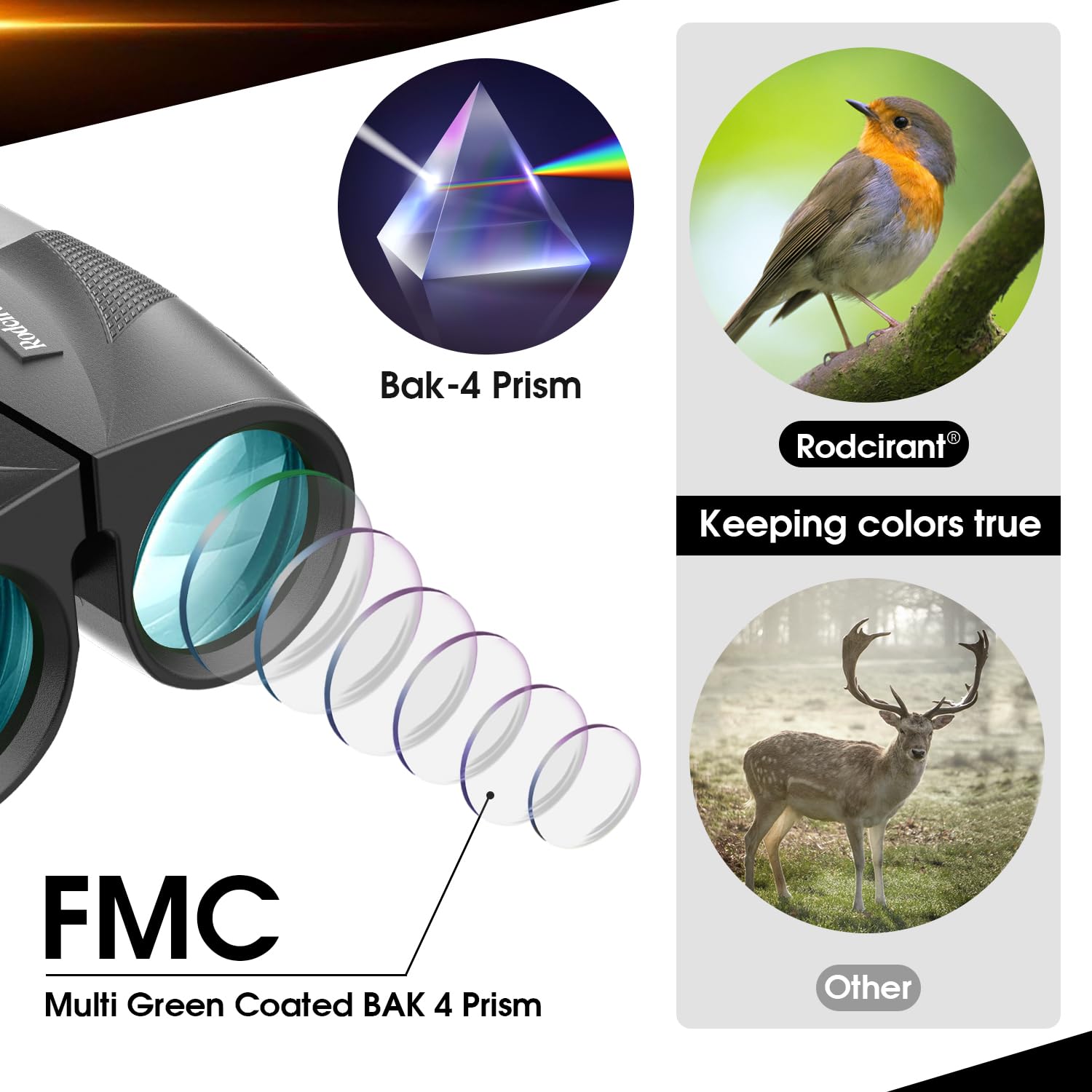 Rodcirant 20x25 Compact Binoculars for Adults and Kids, Waterproof Binocular with Low Light Vision, Easy Focus Binoculars for Bird Watching