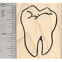 Large Tooth Rubber Stamp, Dental, Dentist, Molar