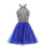 Short Cocktail Party Dresses for Women Tulle Gold Appliques Prom Gowns Royal,18W