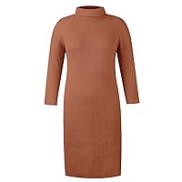 Sweater Dresses for Women 2023 Trendy Solid Color Straight Simple Warm with Long Sleeve Turtle Neck Knit Dress